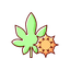 Castor seeds & plant