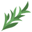 Rosemary sprig
